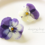 petit viola brooch