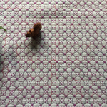 刺し子ふきん✴︎紫陽花刺し✴︎キラキラ