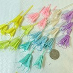 ニゲラオリエンタリス　レインボーカラー　アソート