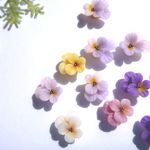 ちいさなすみれ＊パンジーのピアス・イヤリング