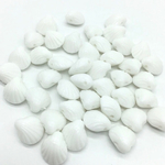 シェル アクリル   ビーズ チャーム ホワイト 12mm  30個