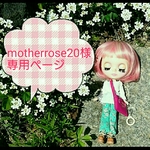 motherrose20様専用ページです。他の方はご購入をお控えください。