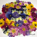 ♡new♡ 送料無料！¥1540 ♡たっぷり押し花セット♡
