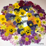 ♡new♡ 送料無料！¥1630 ♡たっぷり押し花セット♡