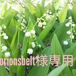 ✨🐥🌱ご依頼品専用ページ🌱🐤✨