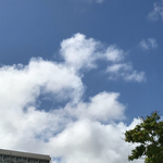 hitomisato62様専用