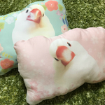 文鳥クッション ミントグリーン&ピンク 2つセット