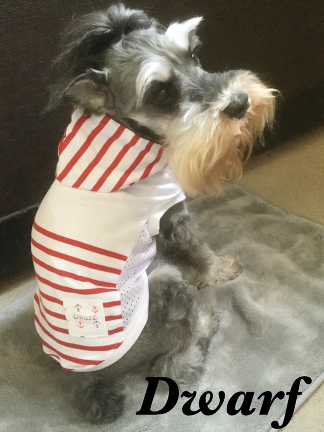 ãã¼ãä»ã!!ãµã¤ãåãæ¿ããã¡ãã·ã¥ãã¼ãã¼ã¿ã³ã¯â