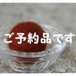 Ka*さまご予約品/ﾘﾊﾞﾃｨ ﾋﾞﾆｺ 通園ﾊﾞｯｸﾞ
