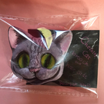 チェシャ猫ブローチヘアクリップ付き レジンアイ