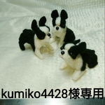 kumiko4428様専用 ボストンテリア