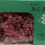 みちのくアナベル☆ブーゲンビリア