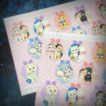 №17 cute cat