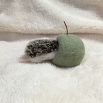 ハリネズミ（羊毛フェルト)はりねずみとピンクッションｂ