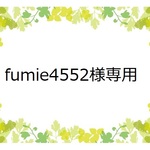 fumie4552様専用・オオイヌフグリのマジェステ②