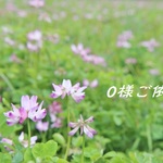 o様ご依頼品