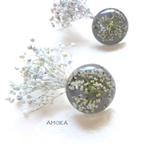 レースフラワーとかすみ草  フラワーピアス/イヤリング      ウェディング    フラワーギフト