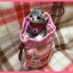 おねがいにゃんこNo.204