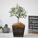 ＜オリーブ＞ウッド植木鉢カバー 現品