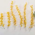 花素材  ミモザ花 ミモザ葉っぱ