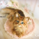 羊毛フェルト『ソマリ』猫