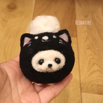 ポメラニアンの赤ちゃん♡ねこちゃん着ぐるみ