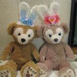 Sサイズ　ダッフィー＆シェリーメイ用うさ耳飾り♪