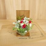 Petit Green Arrange 225