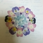 紫陽花♡ビオラ❀ハート花びら♡押し花素材セット(*´ω`*)♡*ﾟ