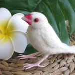 かわいい　白文鳥　羊毛フェルト