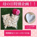 ☆期間限定☆　♡母の日特別企画♡　ハート皿プレゼント！【送料無料】