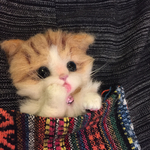 羊毛フェルト仔猫のペロリンブローチ