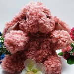 うさぎのぬいぐるみ☆