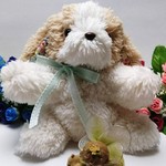 いぬのぬいぐるみ☆