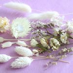 白の花材　（ハーバリウム・ボタニカルキャンドル用素材）