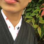 猫好き店主の半衿シリーズ《四季【秋】》