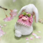 うさぎの初めてのお散歩ハーネス