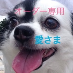 オーダー専用 愛さま
