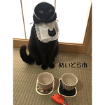 昭和のお母さんエプロン猫ちゃんの首輪