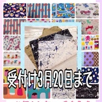 裏地無しランチョンマット 25cm✖️35cm ☆ お好きな柄で受注作成