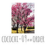 cocochi-09様専用