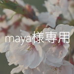 mayapechi様専用 メッシュフレーム額縁   白 ミモザ 他