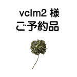 【 vclm2  様 ご予約品】