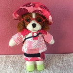 レッゴーキャンプキャバリアちゃん