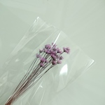 花材 スターフラワー パープル
