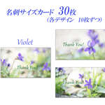 No.8　すみれ　  名刺サイズサンキューカード   30枚