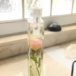 おとなピンク❁﻿希少な一輪のトルコ桔梗のハーバリウム