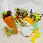 どっこいしょシリーズ😃ウサギちゃん🐶
