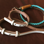 チョコミントのリードと白いカラー