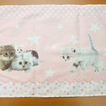 ４０×55ｃｍランチョンマット（624）